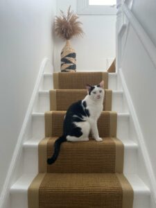 Sisal gold Beige linen border