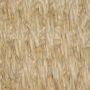 stair runner coir panama natural 7.5mx55cm or 65cm - Wholesale Carpets