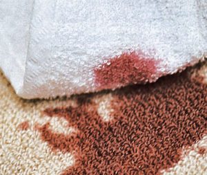 carpet-cleaning-tips-blotting-Sisal-rug