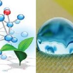 safe-eco-friendly-non-solvent-polymer-stain-runner-stain-protection