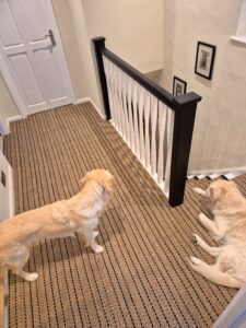 Herringbone twill landing pets and stair runners