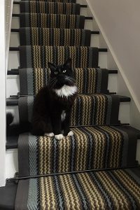 seaspray-stair-runner-with-cute-cat